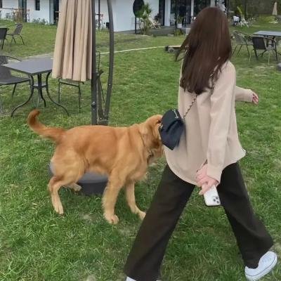 爷爷的人生滑板
